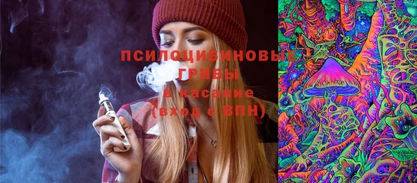 сатива Дмитровск