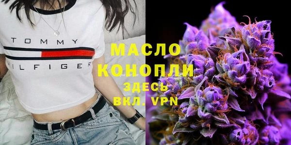 сатива Дмитровск
