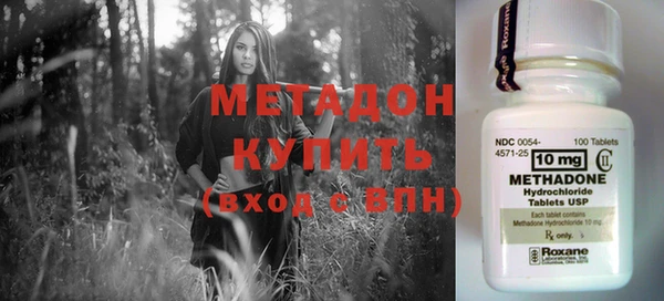 сатива Дмитровск