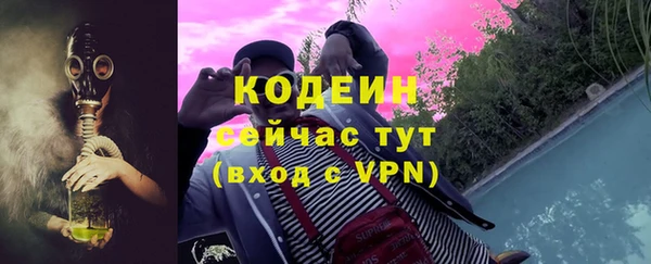 сатива Дмитровск