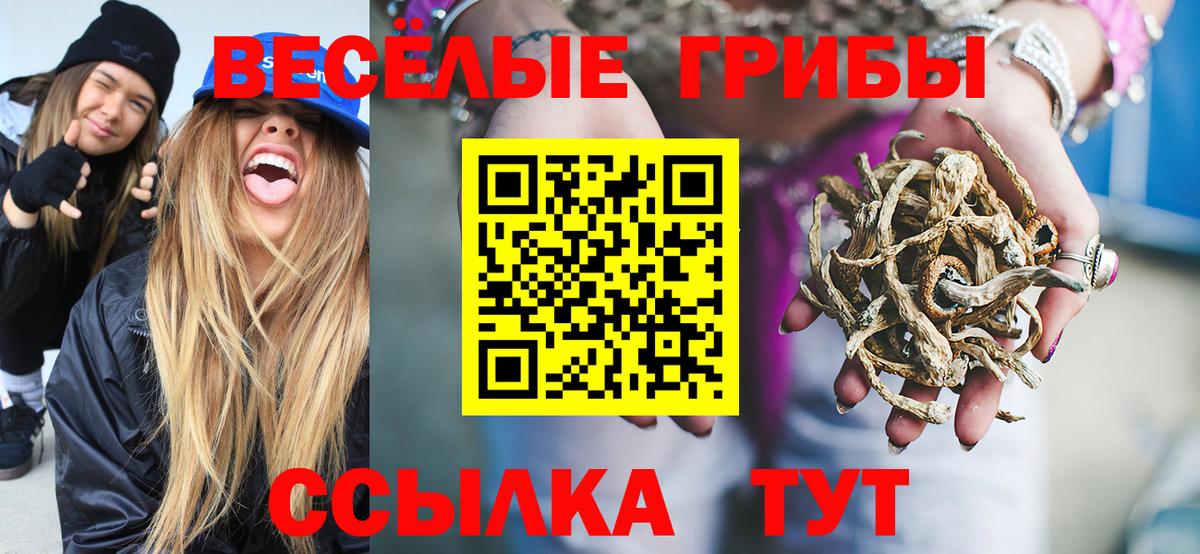Саяногорск  Галлюциногенные грибы ЛСД  Галлюциногенные грибы мицелий  Вход с VPN 